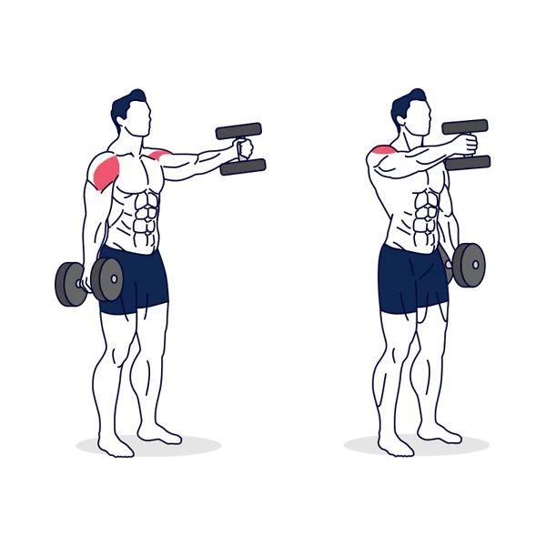 Person performing ALTERNATE DUMBBELL FRONT RAISE (NEUTRAL GRIP) exercise