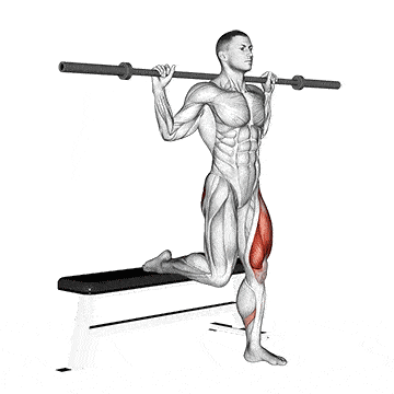 Person performing BARBELL BULGARIAN SPLIT SQUAT exercise