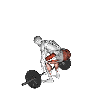 Person performing BARBELL DEADLIFT exercise