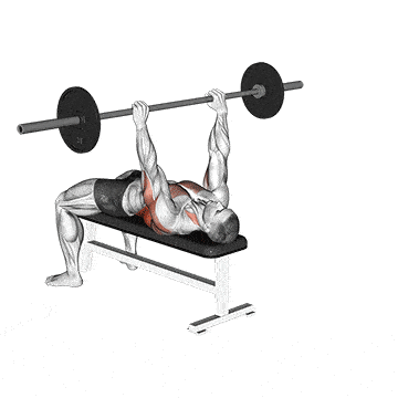 Person performing BARBELL PULLOVER exercise