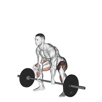 Person performing BARBELL SUMO DEADLIFT exercise