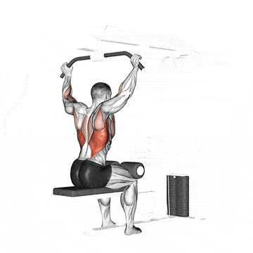 Person performing BEHIND-NECK PULLDOWN exercise