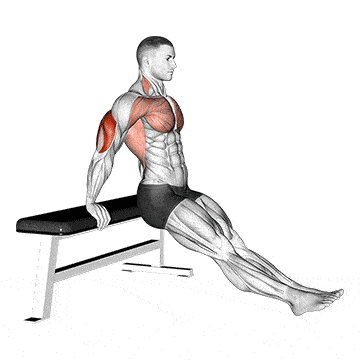 Person performing BENCH DIPS exercise