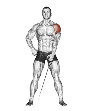 Person performing CABLE ONE-ARM LATERAL RAISE exercise