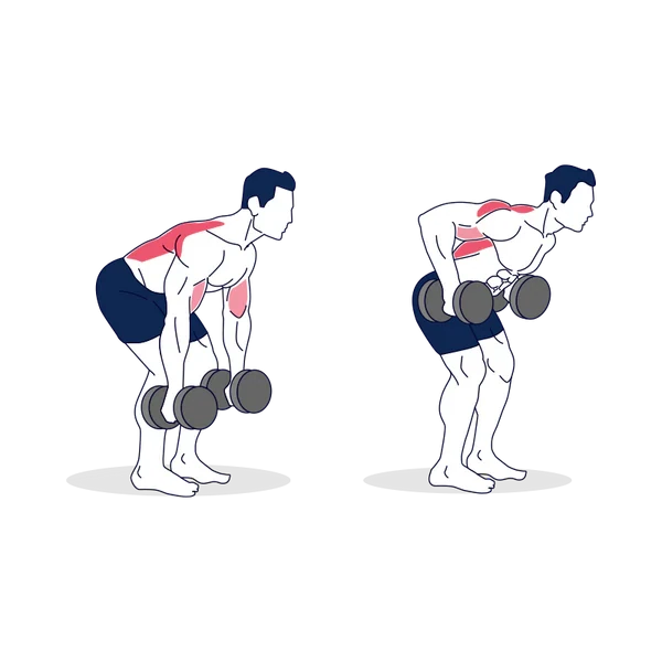 Person performing DUMBBELL BENT OVER ROWS exercise