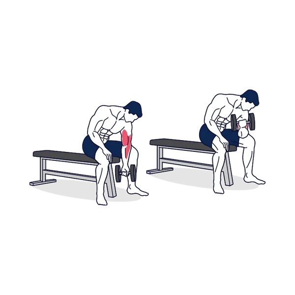 Person performing DUMBBELL CONCENTRATION CURL exercise