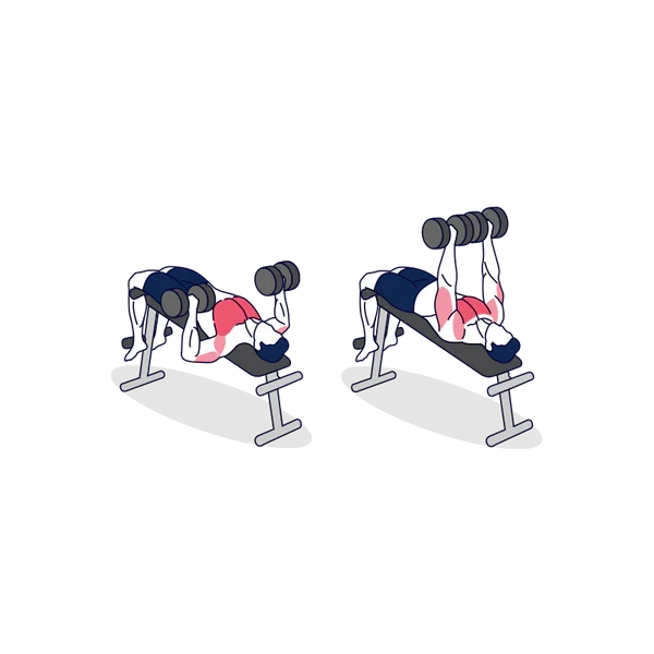 Person performing DUMBBELL DECLINED BENCH PRESS exercise