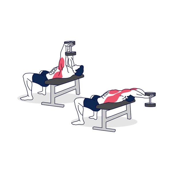 Person performing DUMBBELL PULLOVER exercise