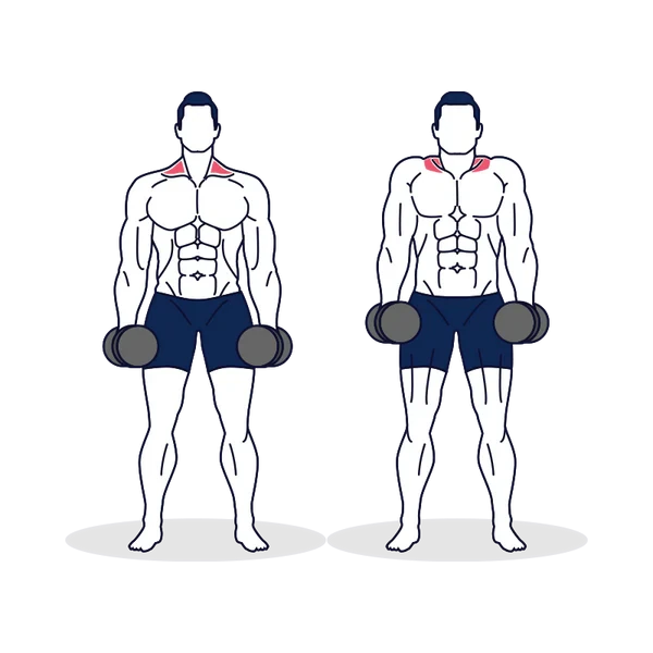 Person performing DUMBBELL SHRUGS exercise