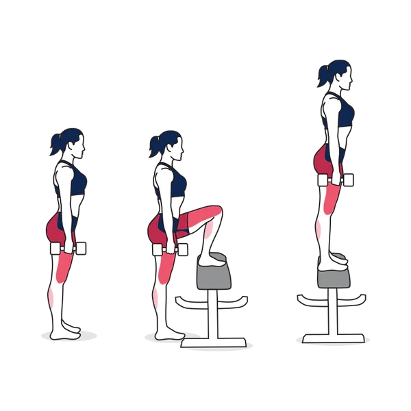 Person performing DUMBBELL STEP UP exercise