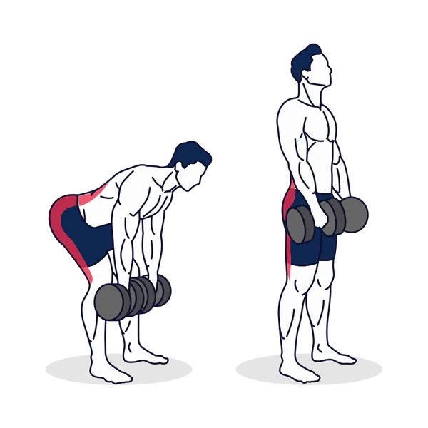 Person performing DUMBBELL STIFF-LEG DEADLIFT exercise