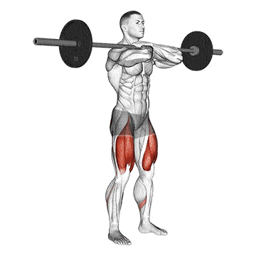 Person performing FRONT SQUAT exercise