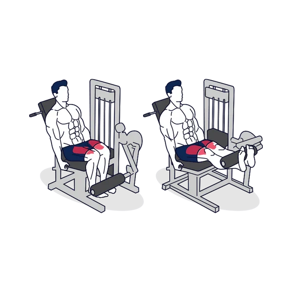 Person performing LEG EXTENSION exercise