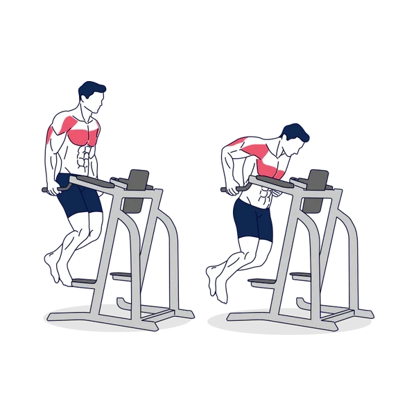 Person performing PARALLEL DIP BAR exercise