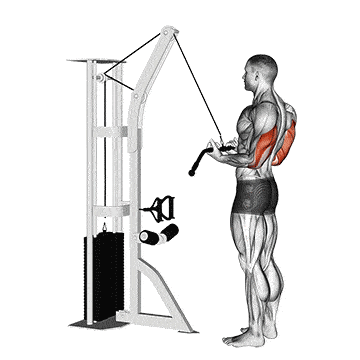 Person performing REVERSE GRIP CABLE TRICEPS EXTENSION WITH BARBELL exercise