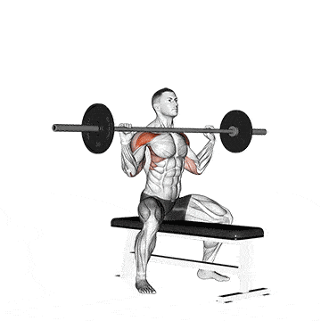 Person performing SEATED BARBELL SHOULDER PRESS exercise