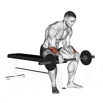 Person performing SEATED BARBELL WRIST EXTENSION exercise