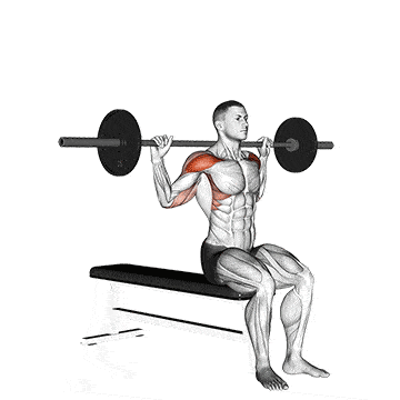 Person performing SEATED BEHIND THE NECK BARBELL SHOULDER PRESS exercise