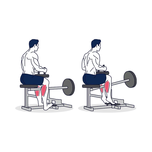 Person performing SEATED CALF RAISE exercise