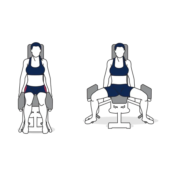 Person performing SEATED HIP ABDUCTION MACHINE exercise
