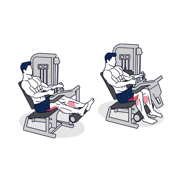 Person performing SEATED LEG CURL exercise
