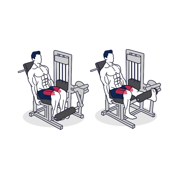 Person performing SINGLE LEG EXTENSION exercise