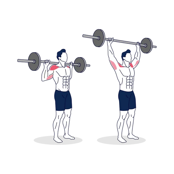 Person performing STANDING BEHIND THE NECK BARBELL SHOULDER PRESS exercise