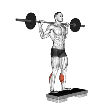 Person performing STANDING CALF RAISE exercise