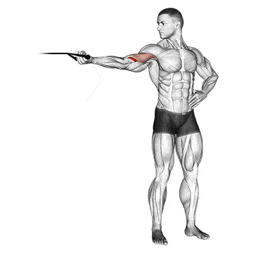 Person performing STANDING HIGH PULLEY CABLE CURL exercise