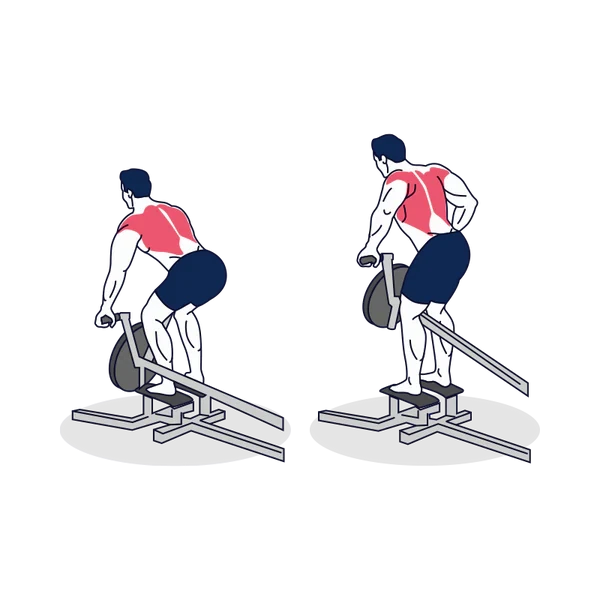 HermQ - Empower. Transform.