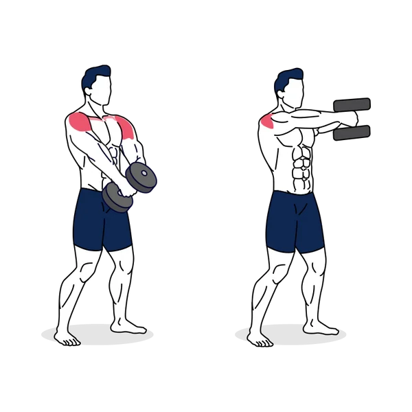 Person performing TWO-HANDED DUMBBELL FRONT RAISE exercise