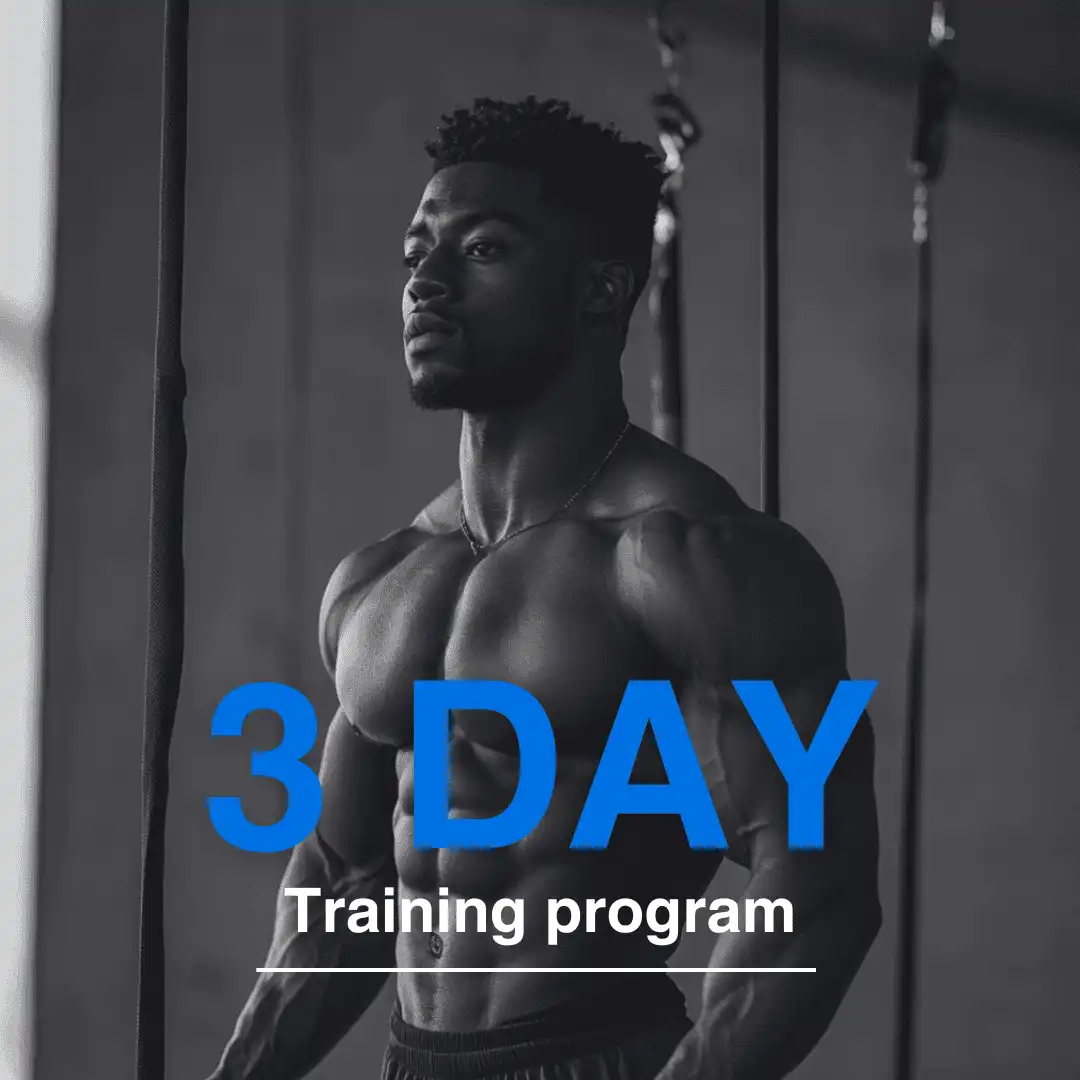 3-DAY WORKOUT SPLIT